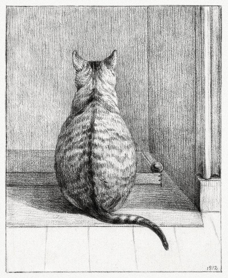 Sitting Cat - Jean Bernard - Scientific Art Prints