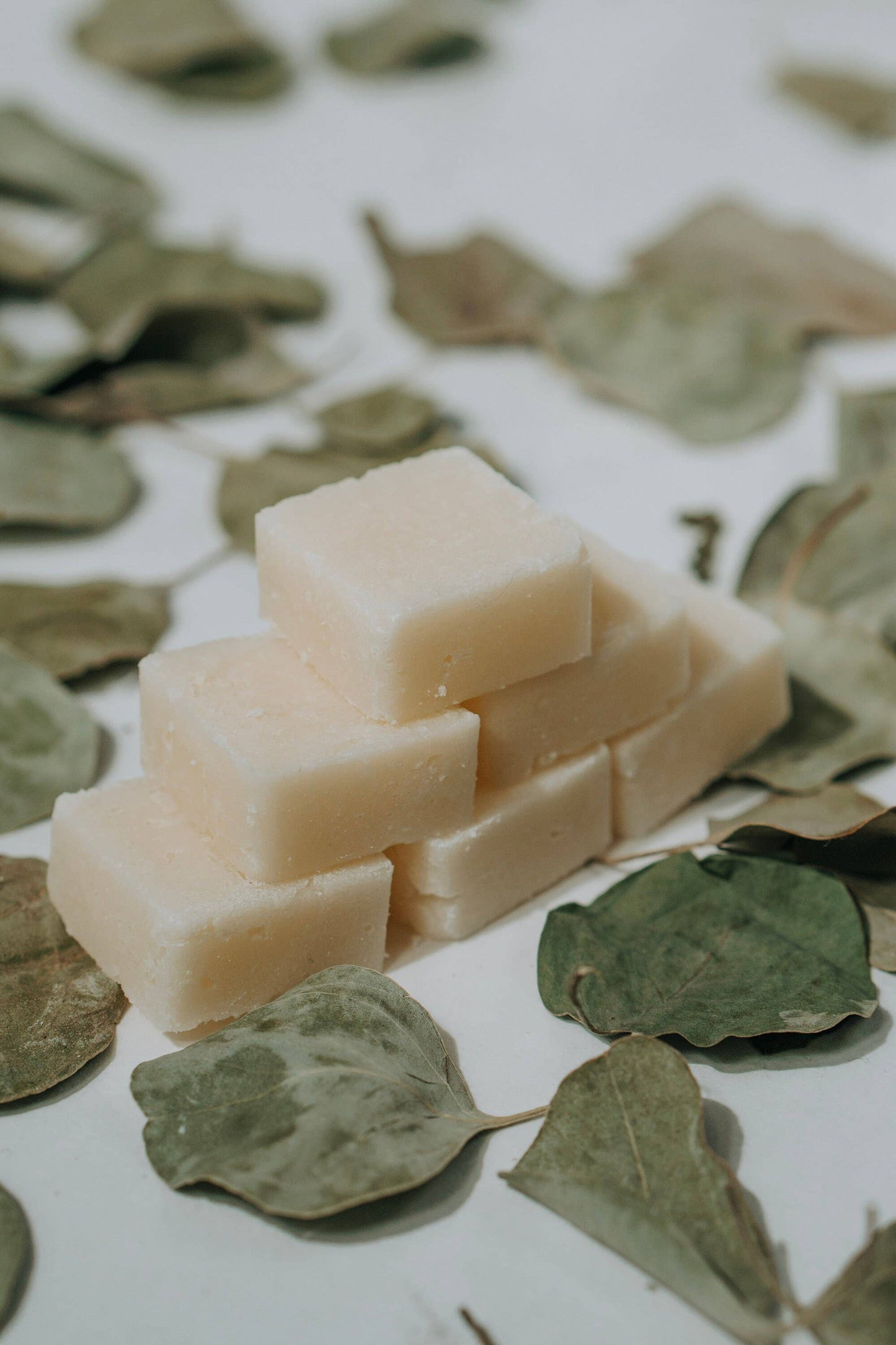 Eucalyptus Peppermint Sugar Scrub Cubes - Vegan, Low Waste