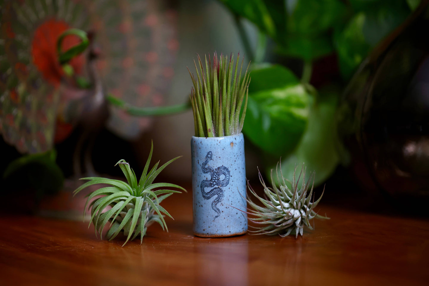 Tiny Tumblers - Tiger: Mix Pack of Glazes