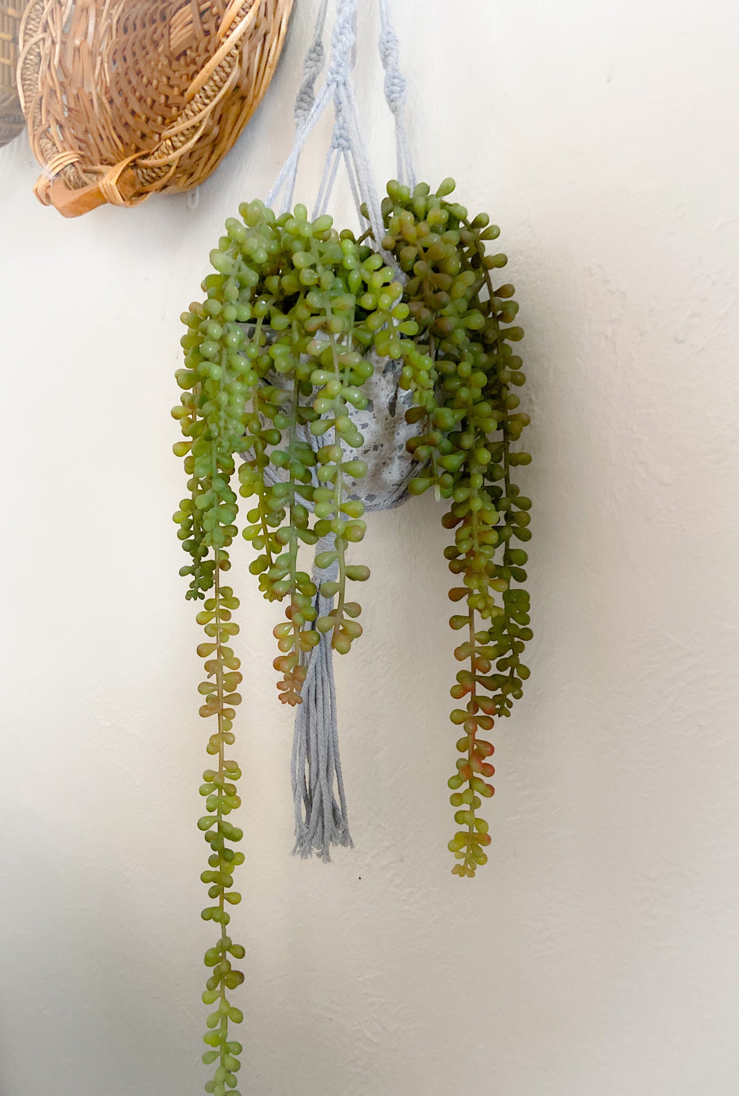 Hand Made Macramé Plant Hanger Gray