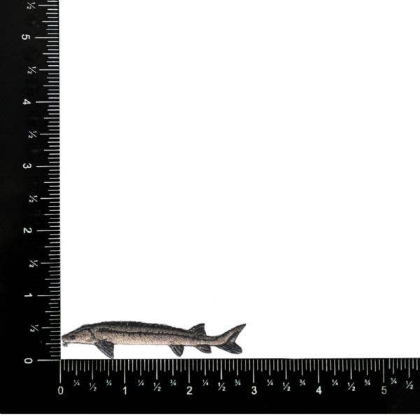 Sturgeon Fish, Embroidered, Iron on Patch