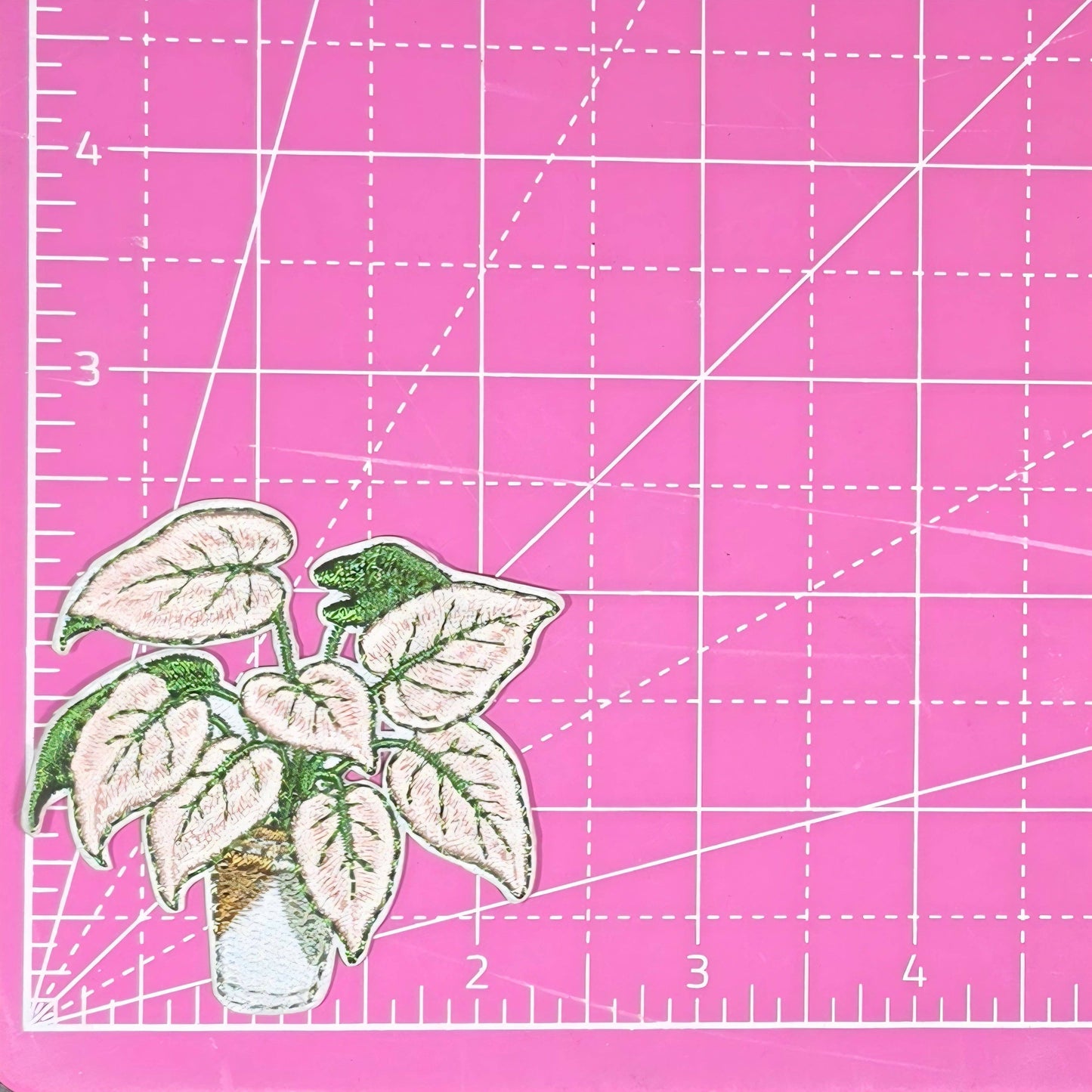 Arrowhead Plant Embroidery Iron On Patch