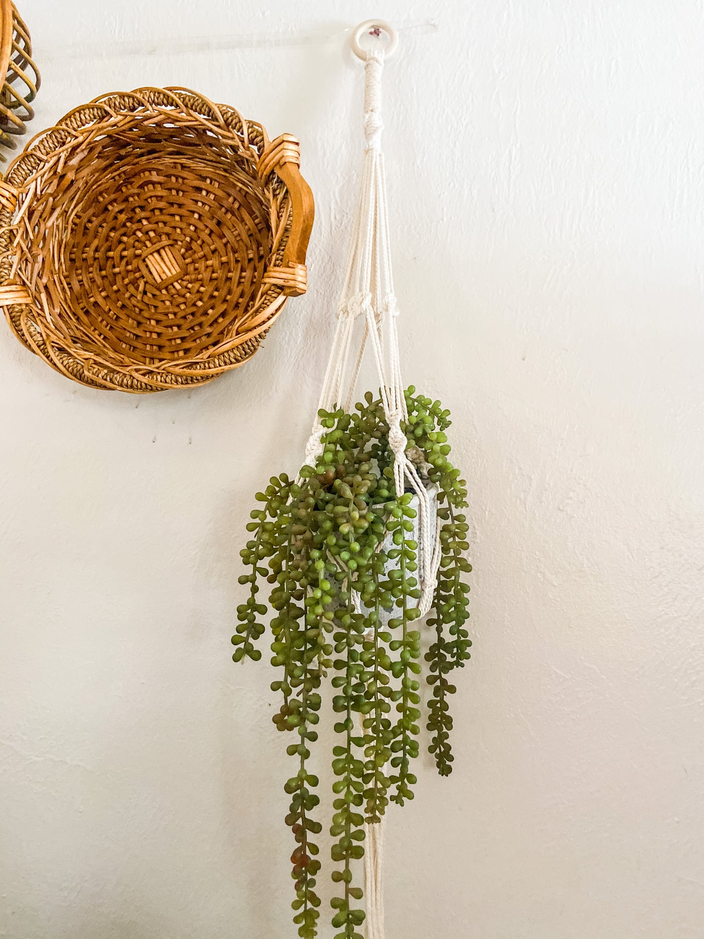 Hand Made Macramé Plant Hanger Natural