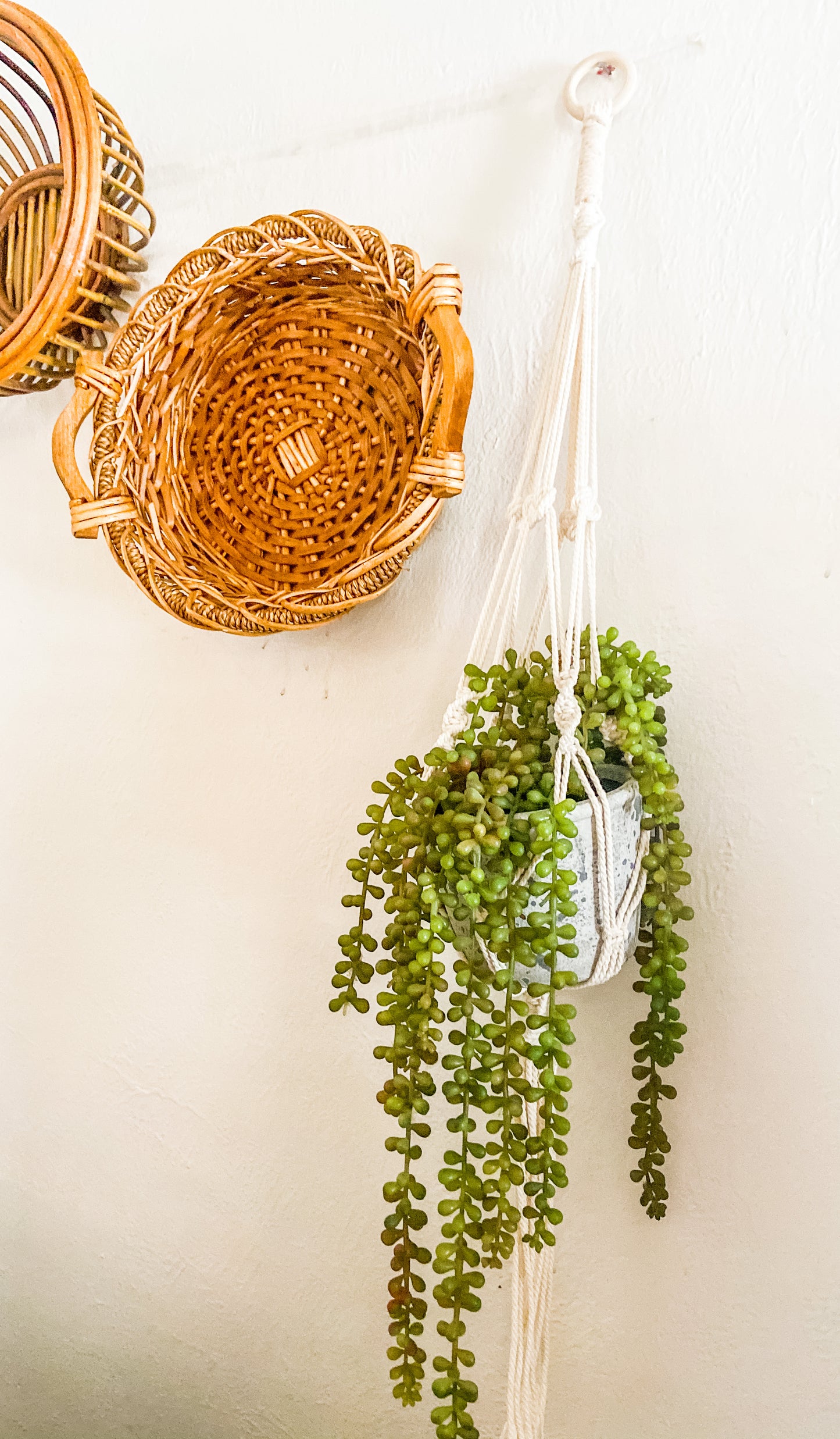 Hand Made Macramé Plant Hanger Natural