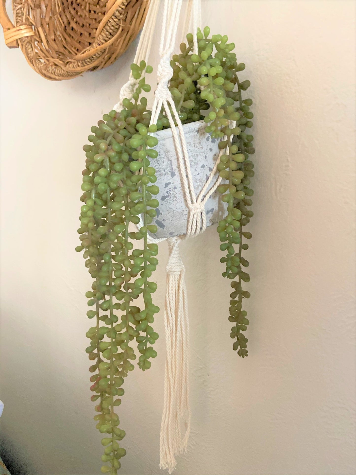 Hand Made Macramé Plant Hanger Natural