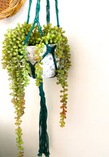 Load image into Gallery viewer, Hand Made Macramé Plant Hanger Dark Green
